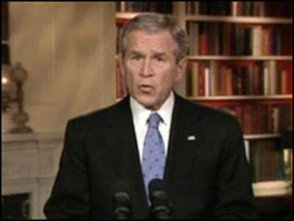 President Bush addresses the nation last year.