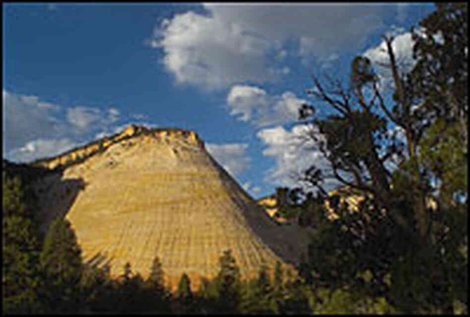 Checkerboard Mesa