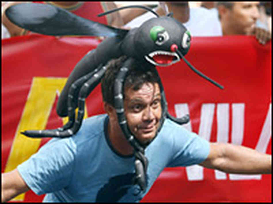 A former county employee in Brazil, part of the group Mata Mosquito (Mosquito Killer)