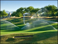 Water-Thirsty Golf Courses Need to Go Green
