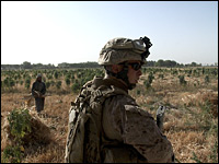 Marine video
