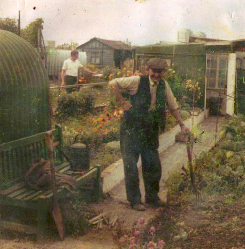 A Manor Garden Allotment plot owner, circa 1970.