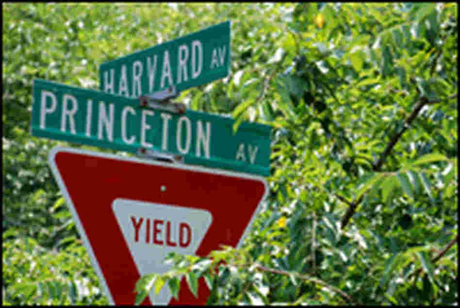 Ivy League Street