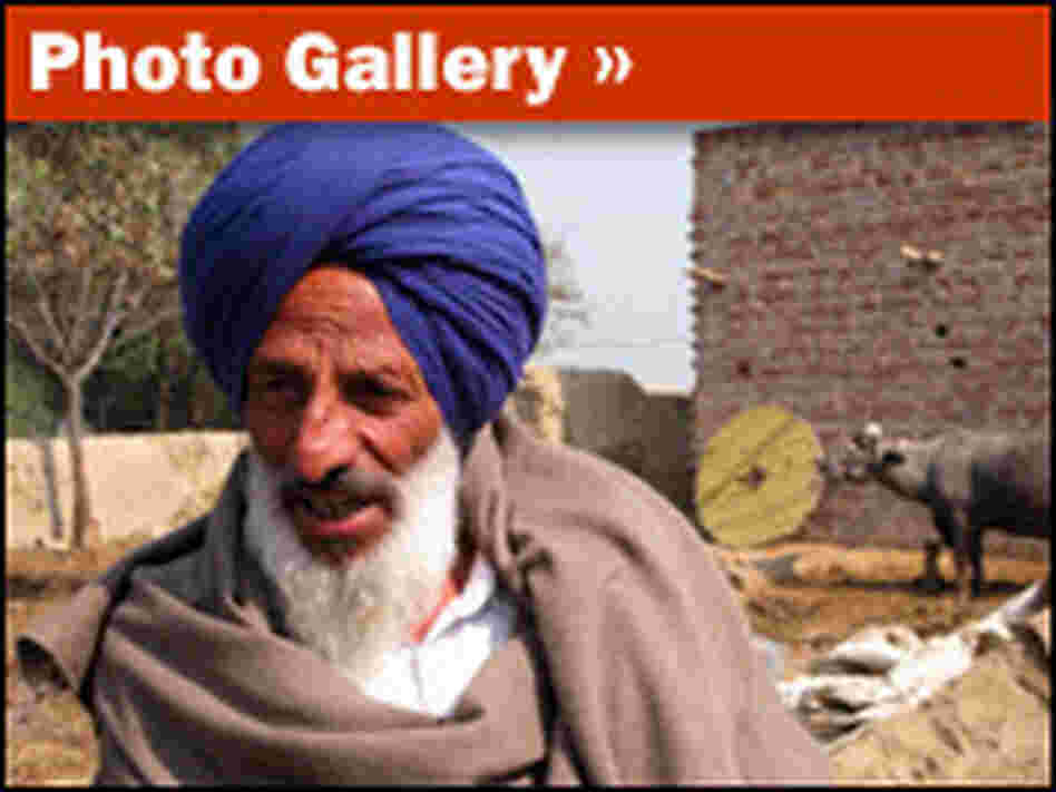 Gallery: Revisiting India's 'Green Revolution'