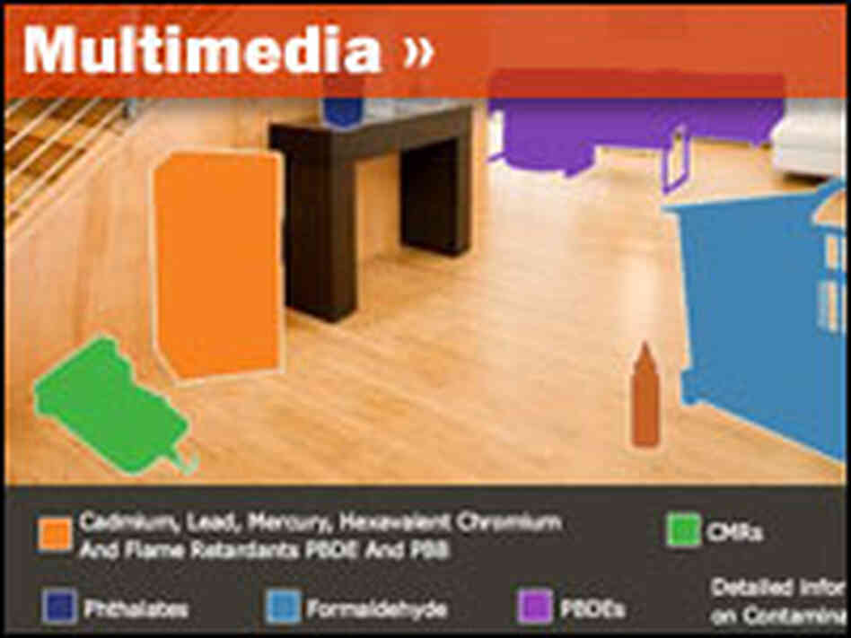 Contaminants In The Home