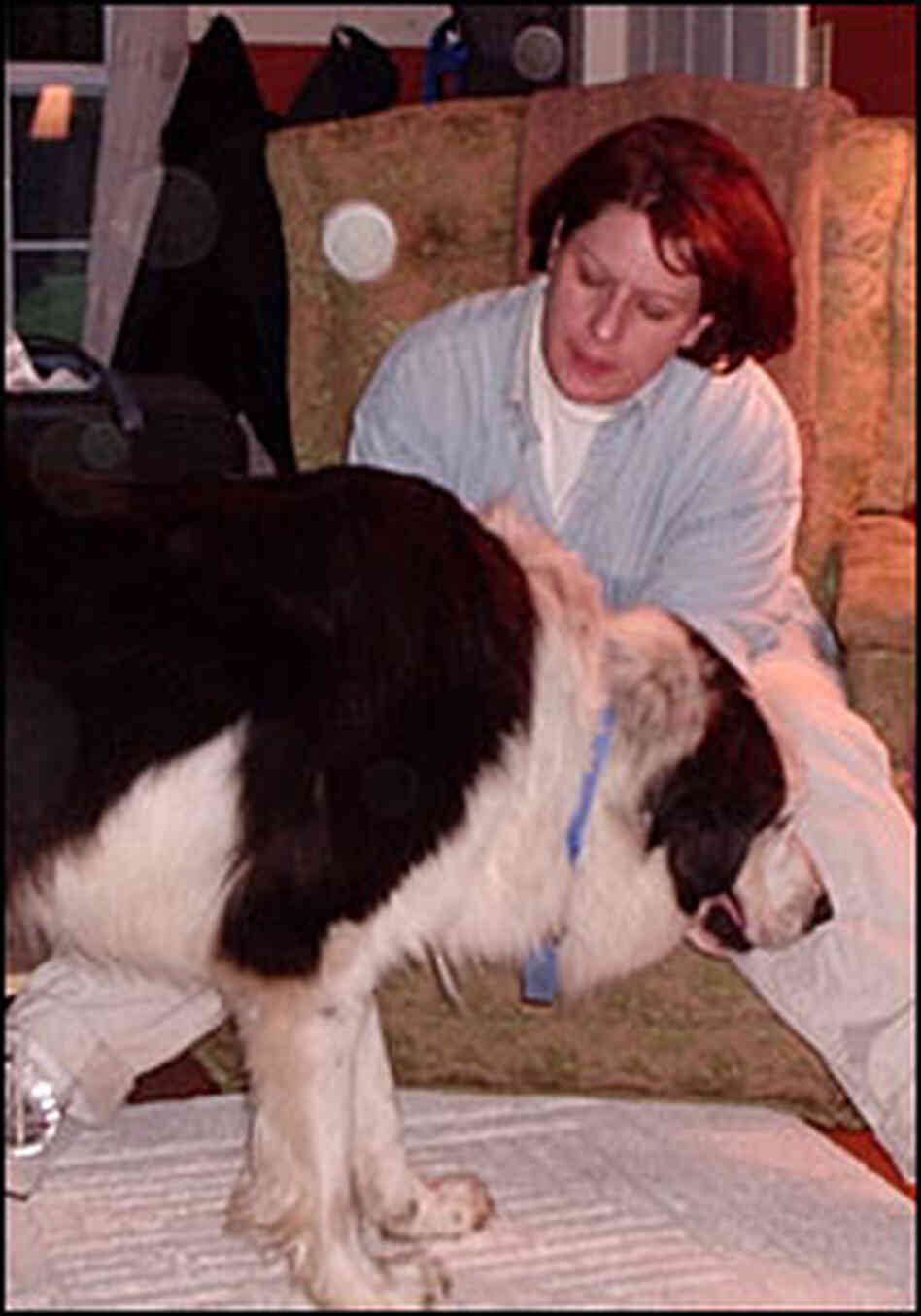 Lorson and dog Lorson and dog