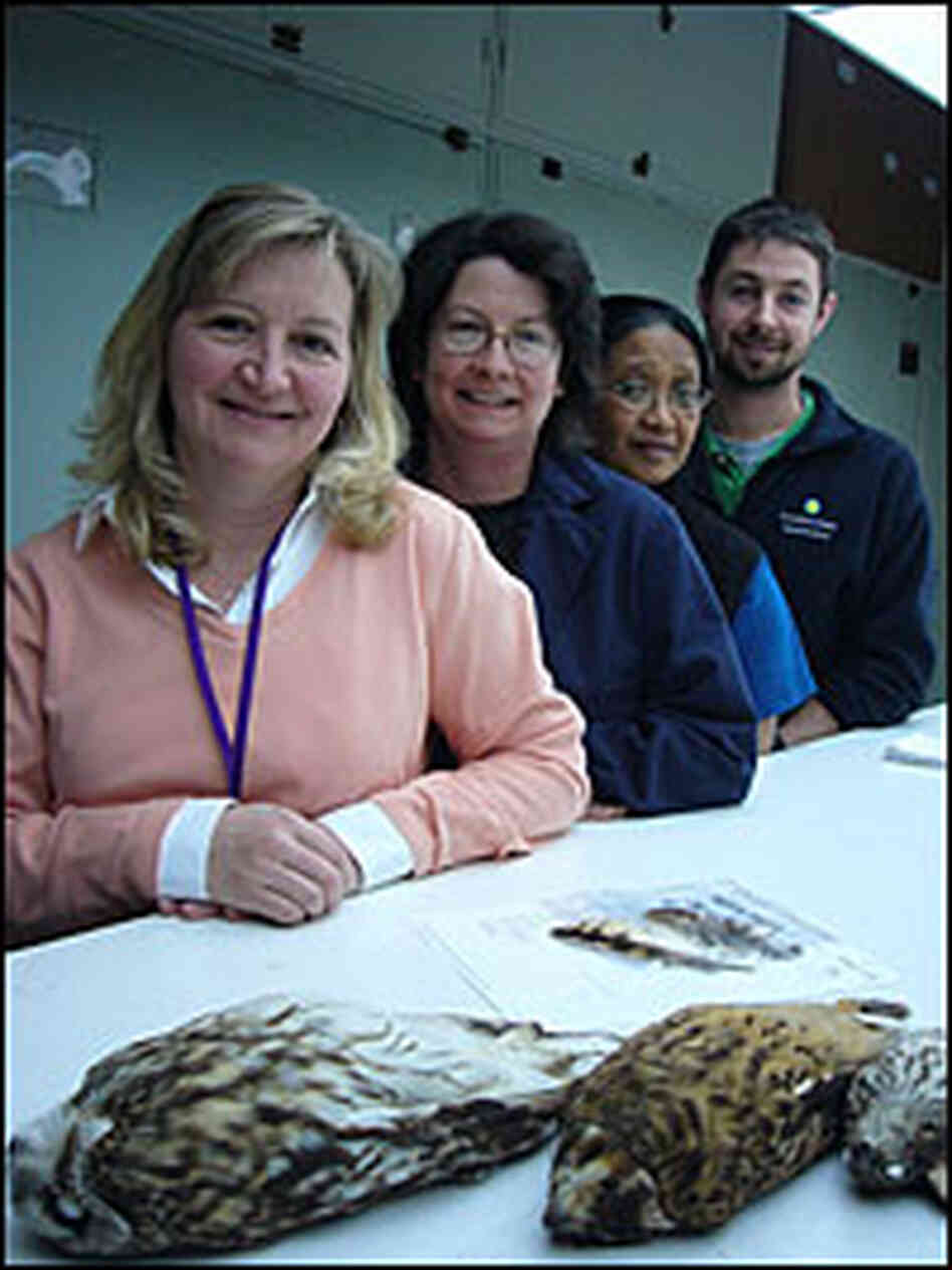 Carla Dove and her team at the Smithsonian's National Museum of Natural History.