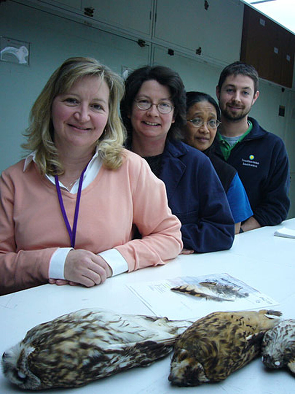 Carla Dove and her team at the Smithsonian's National Museum of Natural History.