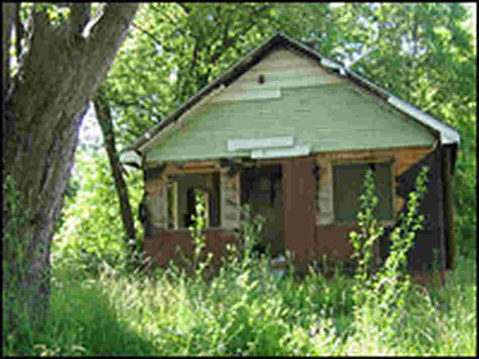 Abandoned house in Flint, Mich.