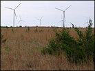 Wind turbines in Woodward, Okla. Wind turbines in Woodward, Okla.