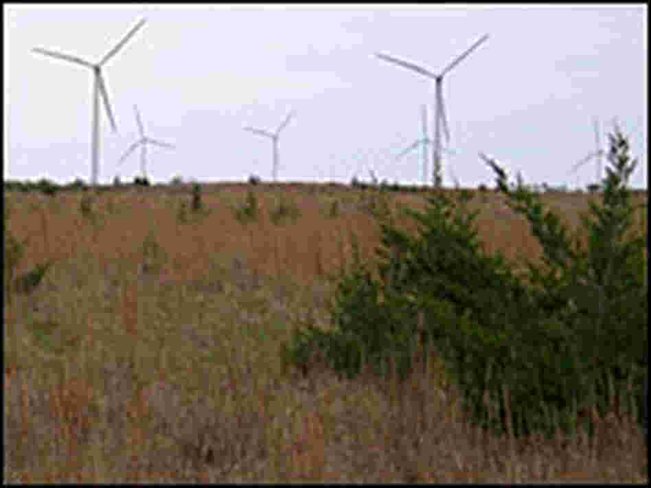 Wind turbines in Woodward, Okla.