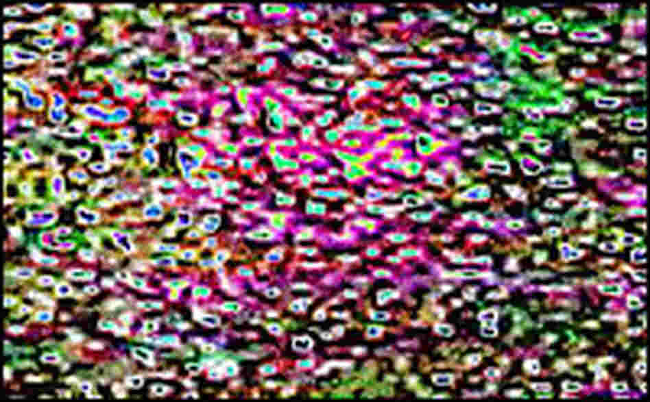 A TV static abstract artwork by Rick Doble