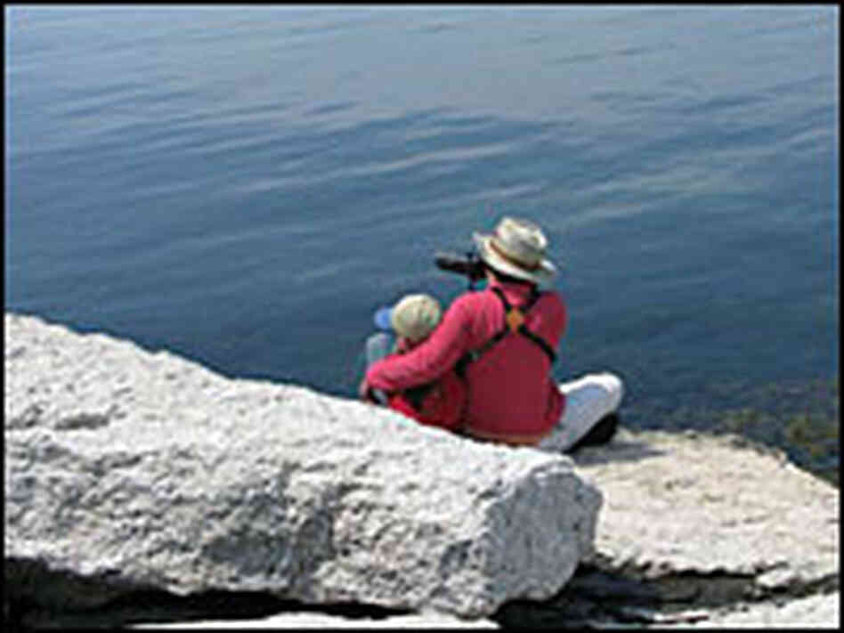 Julie Zickefoose and Liam Julie Zickefoose and Liam