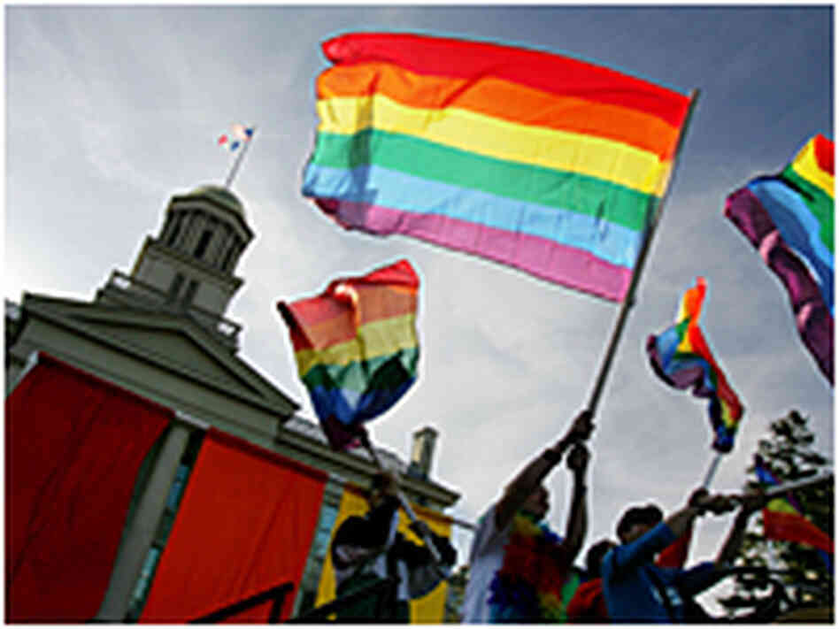 Rainbow flags Rainbow flags