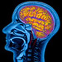 To Keep Your Brain Nimble As You Age, Stretch It