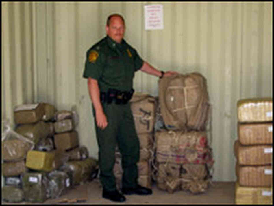 Seized marijuana.