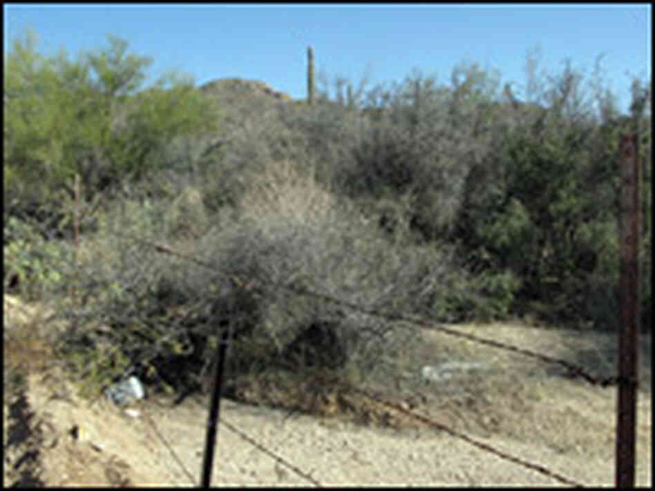 U.S.-Mexico border fence.