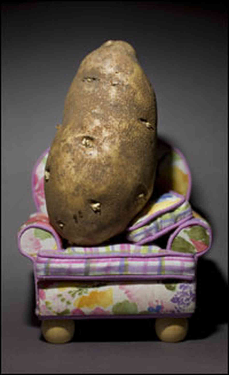 A couch potatoe. A couch potatoe.