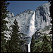 The Nation: Shotguns, AK-47's and Your National Parks