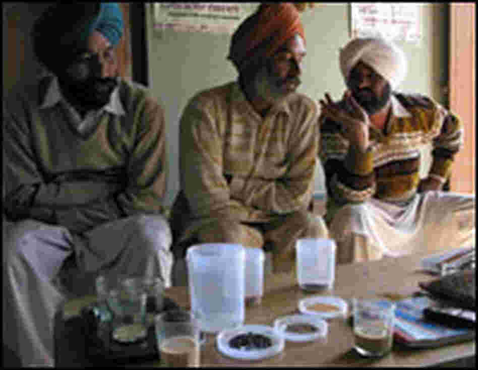 Sharma and other organic farmers from the village of Chaina run a seed bank out of Sharma's house.