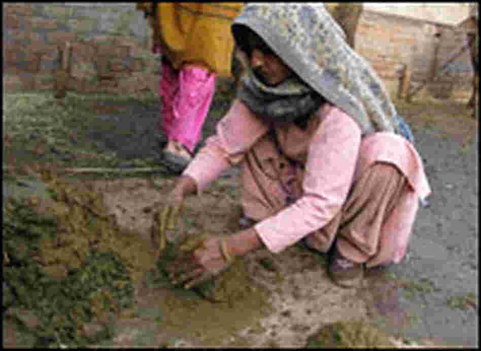 Sharma's wife forms patties out of cow dung in the courtyard of the family's compound.