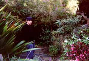 T.C. Boyle's garden