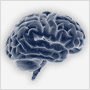 Is This Your Brain On God? (4x3)