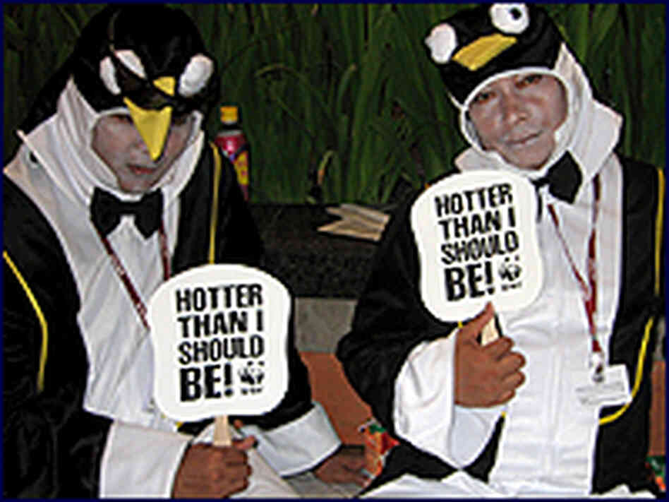 Penguins looking for attention sit on a bench in the Bali International Convention Center. Penguins looking for attention sit on a bench in the Bali International Convention Center.