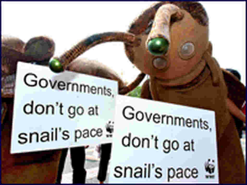 Two environmental activists dress up as snails at the Bali climate change conference. Two environmental activists dress up as snails at the Bali climate change conference.