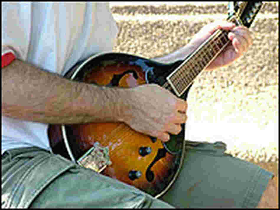 Electric mandolin Electric mandolin