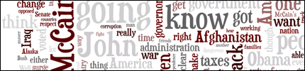 Palin Debate Wordle