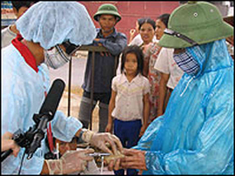 In a vaccination station set up in a parking lot in Ha Tay Province, veterinary technician Luong Van In a vaccination station set up in a parking lot in Ha Tay Province, veterinary technician Luong Van