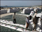 Somalis unload sacks of sorghum provided by the World Food Programme. Somalis unload sacks of sorghum provided by the World Food Programme.