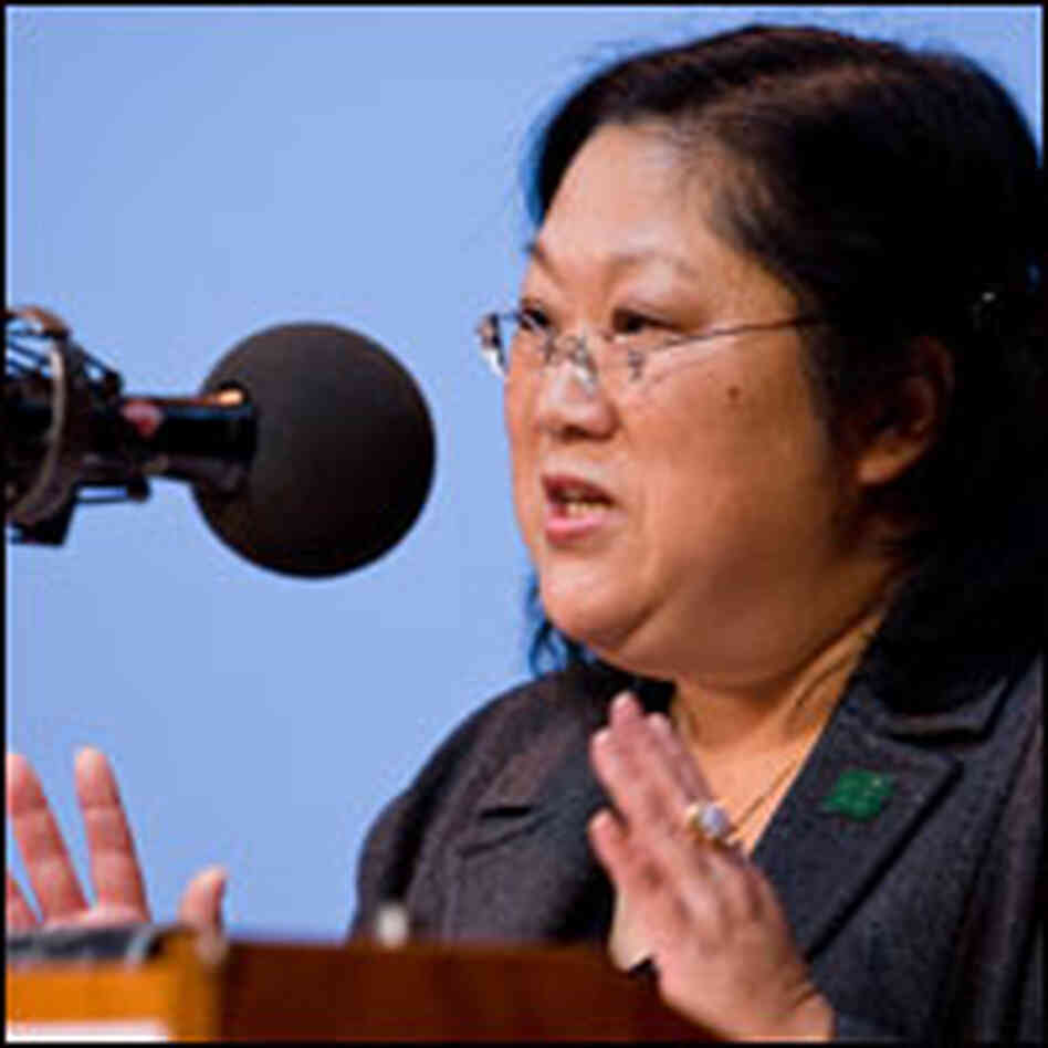 Karen Narasaki Karen Narasaki