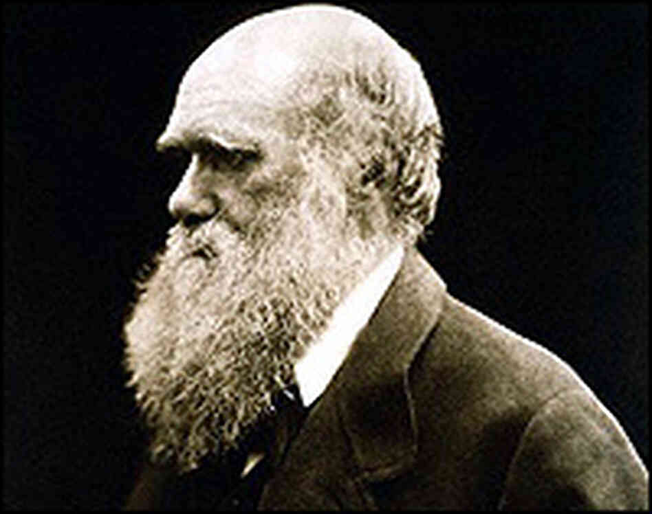 Charles Darwin Charles Darwin