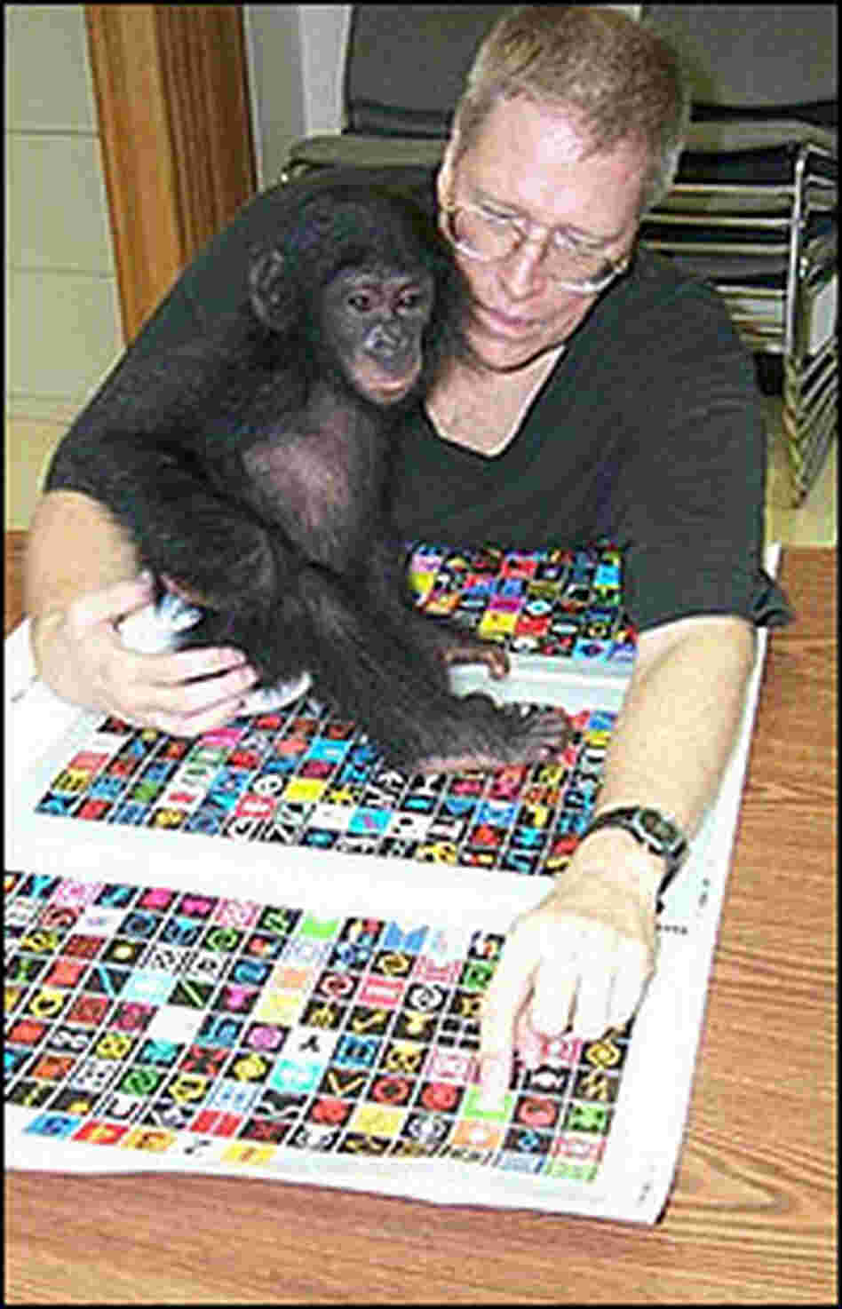 Ethnographer Bill Fields and his bonobo friend Nyota