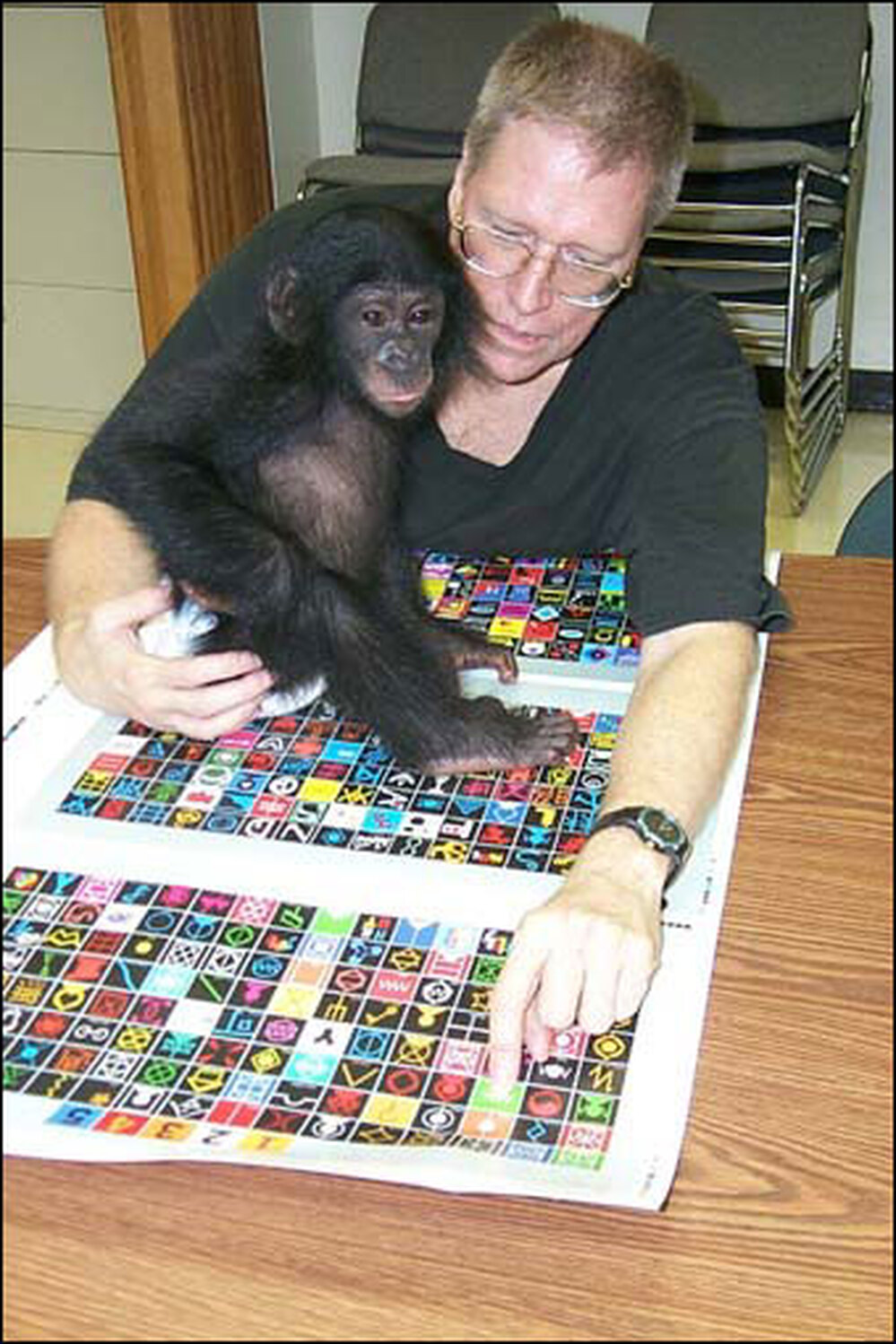 Ethnographer Bill Fields and his bonobo friend Nyota