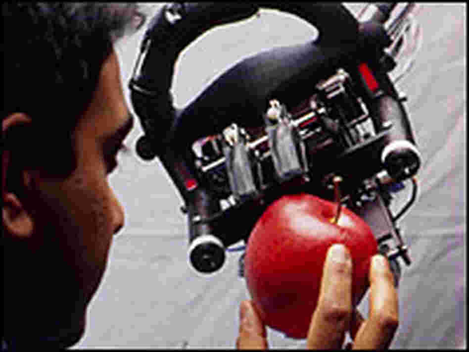 MIT scientist Deb Roy shows Ripley the robot an apple.  
