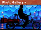 Michael Steele Photo Gallery Michael Steele Photo Gallery