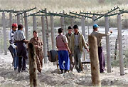 Workers reinforce Uzbekistan's border with Afghanistan