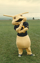 The UC-Santa Cruz Banana Slug