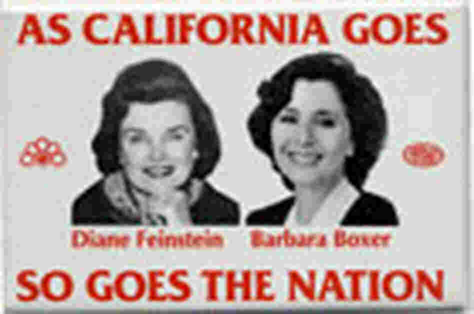 Feinstein-Boxer button Feinstein-Boxer button
