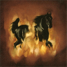The Besnard Lakes are the Dark Horse The Besnard Lakes are the Dark Horse