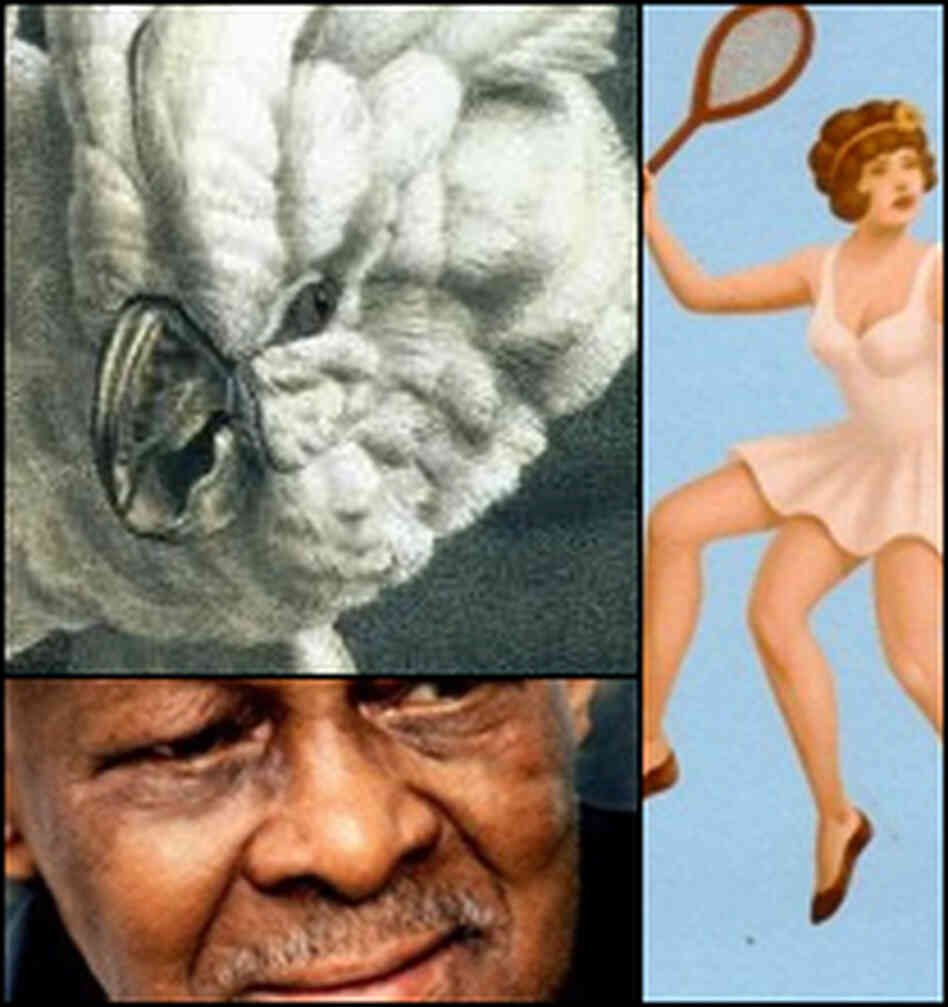 All Songs Considered show image All Songs Considered show image