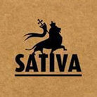 Sativa