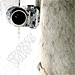 Cover for Sound of Silver Cover for Sound of Silver