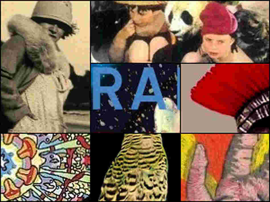 collage collage
