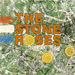 Fools Gold Cover