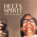 cover for delta spirit cover for delta spirit