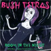 cover for bush tetras